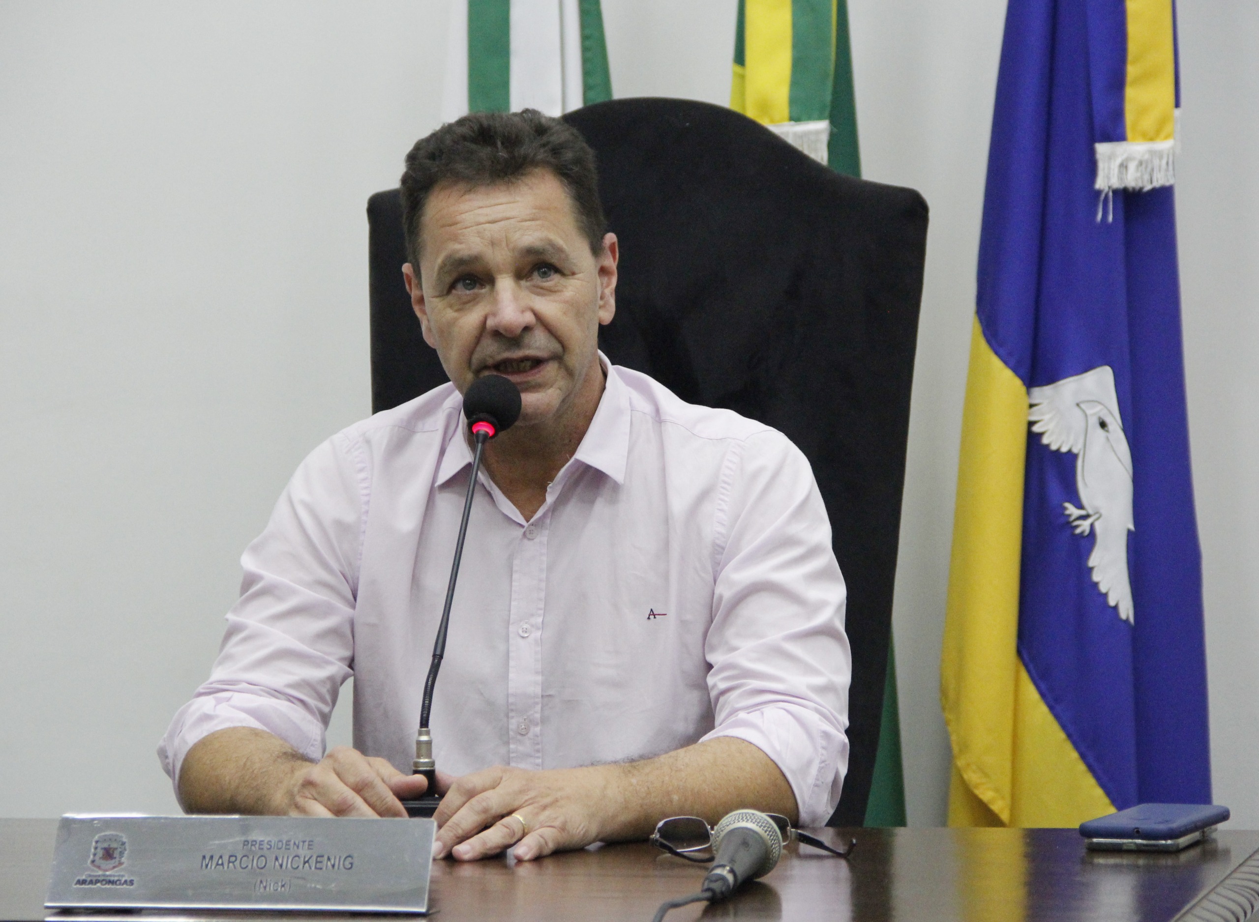 NICKE FAZ BALANÇO POSITIVO SOBRE OS TRABALHOS LEGISLATIVOS NO ANO